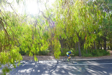 SunSmart FunMan Triathlon - Australia Accommodation 0