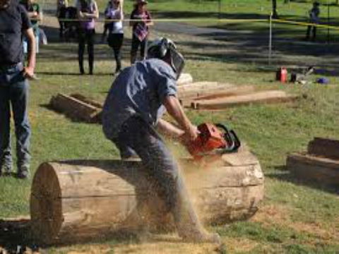 Tocal Field Days - Australia Accommodation 0
