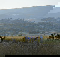 Tumut Cycle Classic - Australia Accommodation