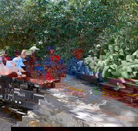 Twilight Run   Willans Hill Miniature Railway - Australia Accommodation