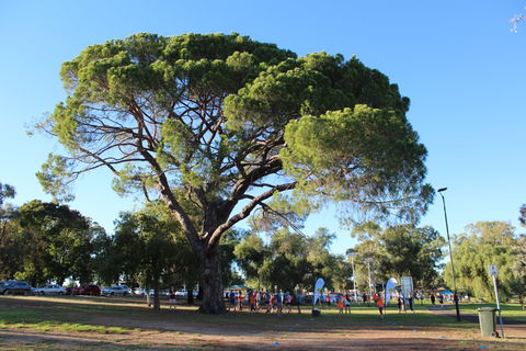 Wagga Parkrun - Australia Accommodation 1
