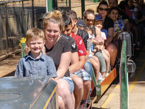 Willans Hill Miniature Railway Rides: Open Days - Australia Accommodation 0