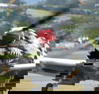 Wings Over Illawarra - Australia Accommodation