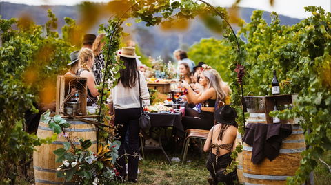 Wine Machine - NEW DATE - Australia Accommodation 1