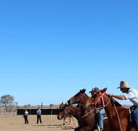 Birdsville Horse and Motorbike Gymkhana - Australia Accommodation