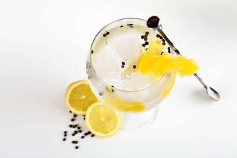 Online Live Streaming Class: Make Four Gin Cocktails - Australia Accommodation 0