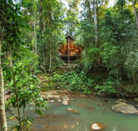 The Canopy Rainforest Treehouses and Wildlife Sanctuary - Australia Accommodation