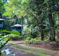 Ferntree Rainforest Lodge - Australia Accommodation