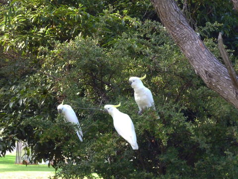 Coachman's Eden - Australia Accommodation 5