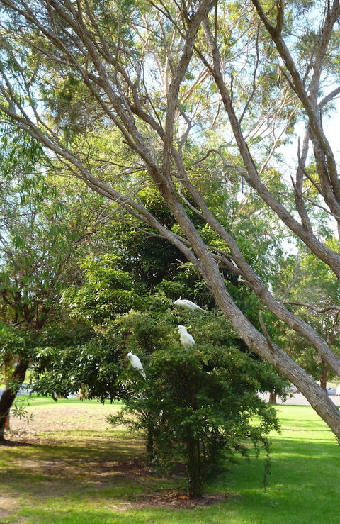Coachman's Eden - Australia Accommodation 4