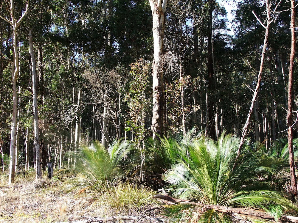  Australia Accommodation