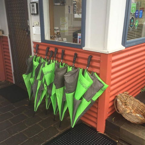 Swansea Beach Chalets - Australia Accommodation 3