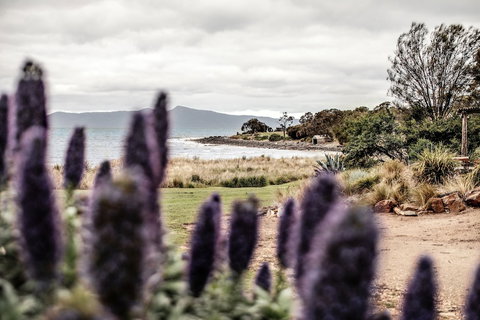 Piermont Retreat - Australia Accommodation 3