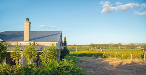 Barossa Shiraz Estate - Australia Accommodation 0