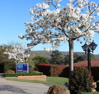 Hume Country Motor Inn - Australia Accommodation