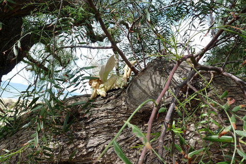 Swansea Motor Inn - Australia Accommodation 1