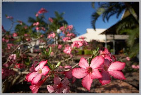 Seashells Broome - Australia Accommodation 4