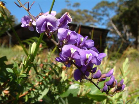 The Coombe On Wilson Inlet - Australia Accommodation 4