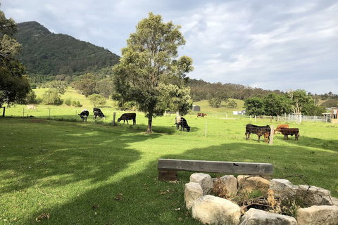 ARCADIA - The Barn Cottage & Rosehill Cottage - Australia Accommodation 3