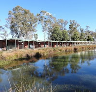 Victoria Lake Holiday Park - Australia Accommodation