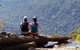 Buddha Cottage Springbrook - thumb 3