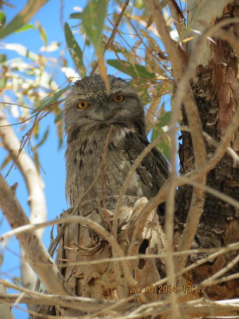 Kalbarri Tudor Holiday Park - Australia Accommodation 3