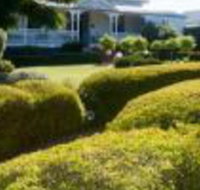Whiskey Gully Wines - Australia Accommodation