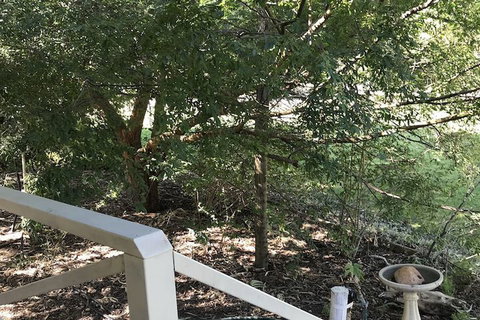 Padthaway Caravan Park - Australia Accommodation 4