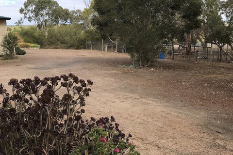 Padthaway Caravan Park - Australia Accommodation 1