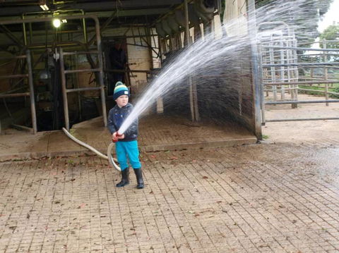 Manderley Park Farmstay B & B - Australia Accommodation 3