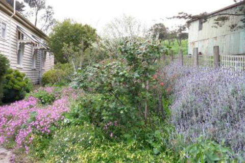 Alvie Cottage - Australia Accommodation 1