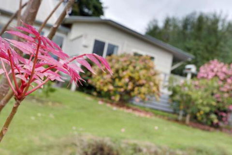 Montpellier Petite B+B - Australia Accommodation 2