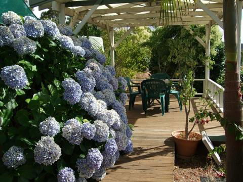 Nannup Riverview Cottage - Australia Accommodation 3