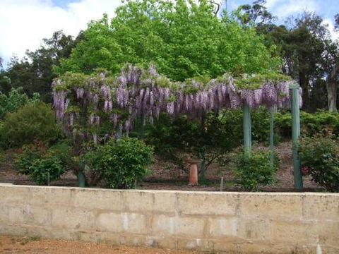 Nannup Riverview Cottage - Australia Accommodation 5