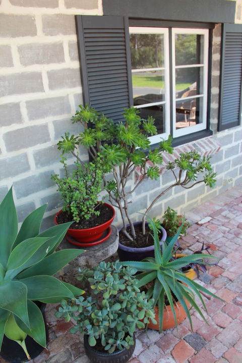 Bakehouse '38 Restaurant & Guesthouse - Australia Accommodation 2