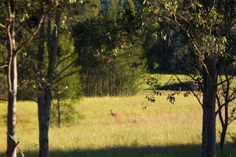 Windsors Edge Cottage Rothbury - Australia Accommodation 2