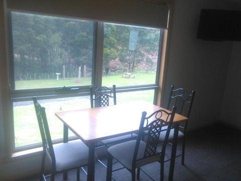 Sunny Gum - Australia Accommodation 5