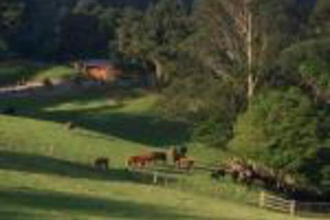 Amaroo Valley Springs - Australia Accommodation 0