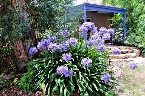 A Stanthorpe Getaway - Australia Accommodation 4