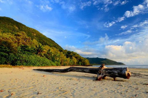 Daintree Rainforest Beach House - Australia Accommodation 7