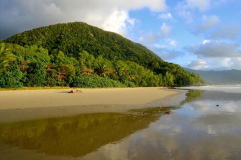 Daintree Rainforest Beach House - Australia Accommodation 5