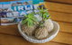 Airlie Guest House - thumb 1