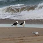 Baillieu Breeze - Australia Accommodation 0