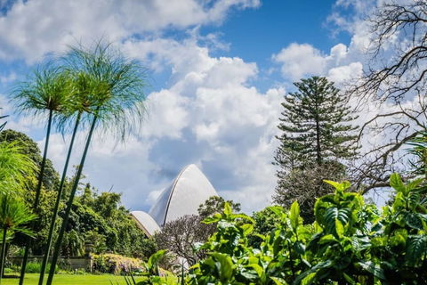 Amazing View Kozy 2 Bed APT With Parking Waterloo Nwa052 - Australia Accommodation 6