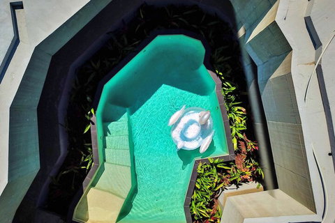 Alkira Award Winning Luxury Holiday Home - Australia Accommodation 6