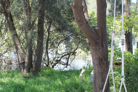 Waters Edge - Australia Accommodation 5