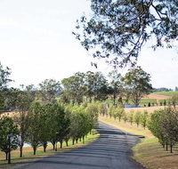 voco Kirkton Park Hunter Valley  an IHG Hotel - Australia Accommodation