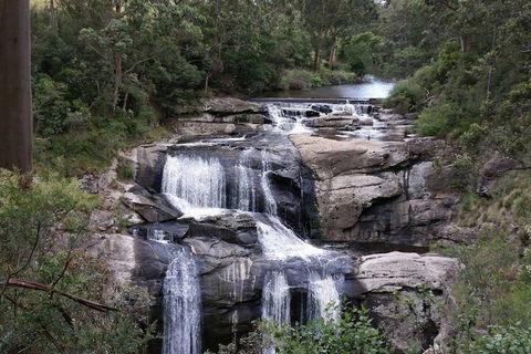 Toora Lodge Motel - Australia Accommodation 2