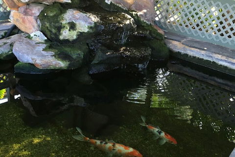 Quality Inn The Willows - Australia Accommodation 3