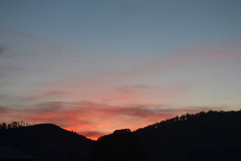 Mulberry Cottage B&B - Australia Accommodation 0